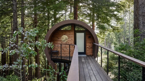 Casa en el bosque